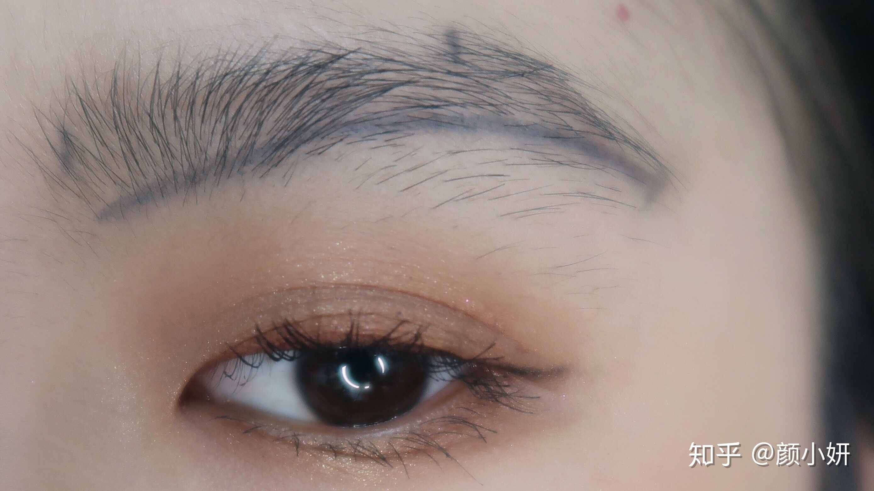 揭阳防汛应急响应提升为Ⅲ级