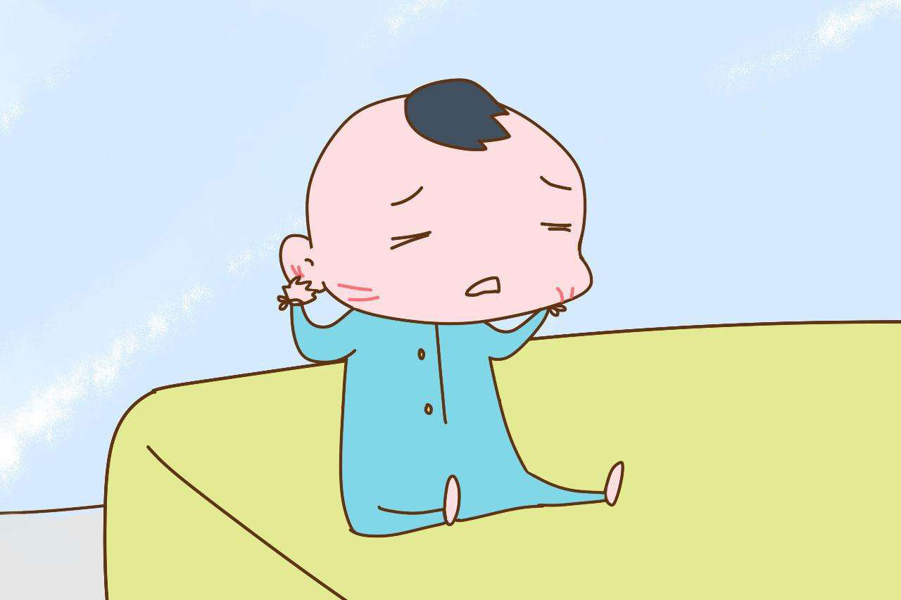 中华白海豚没有手脚，为什么“喜洋洋”“乐融融”有？